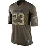 Men's Cleveland Browns Joe Haden Green Salute To Service Limited Jersey